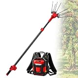 PoiToe Raccoglifrutta Telescopico 9.8 ft, Controllo 16 Livelli C