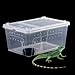 Leefasy Reptile Feeding Box,Transparent Terrarium Habitat Cage Transport Breeding Box with Feeder Bowl for Frog Treefrog Snake, 38x24x17cm
