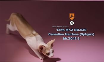 まるねこ $_57.JPG?set_id=880000500F