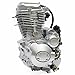200cc 250cc CG250 Engine Motor, 4-Stroke ATV Dirt Bike Air Cool Single Cylinder Vertical Motorcycle Engine Motor w/5-Speed Transmission CDI Dirt Bike(4 Forward)