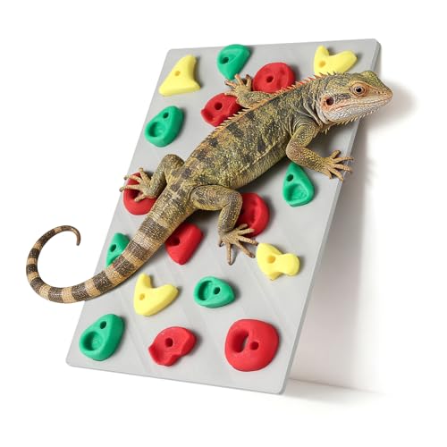 MITCHENIFY Climbing Wall for Reptiles, Reptile Tank Terrarium Accessories Habitat Decor for Bearded Dragons, Leopard Geckos, Lizards, Snakes, Tree Frogs, Amphibian Paludariums Enclosure Supplies by MITCHENIFY - Used condition - US$13.87