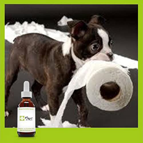 Fleurs de Bach"Animaux et Propreté"-Vous souhaitez améliorer la Propreté Cover