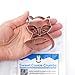 Sweet Cookie Crumbs Fero Fox Cookie Cutter - Stainless Steel
