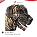 Premium Geschirr Hund - Erziehungshalsband liebevoll, Antizug- / no Pull Geschirr garantiert, mindert Aggression, Antibellhalsband, Kopfhalfter, Hundehalfter: kleine bis große Hunde, schwarz