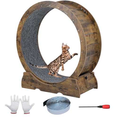 Cat Exercise Running Wheel Cat Treadmill Wheels for Indoor Cats Large (Rusty Brown, Medium)
