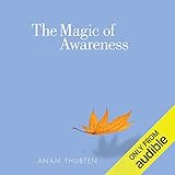 The Magic of Awareness
