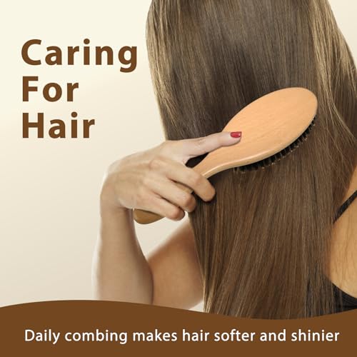 Black Egg Boar Bristle Hair Brush For Women Men Kid, Soft Natural Bristles Brush For Thin And Fine Hair, Restore Shine And Texture, Set Includes Bamboo Comb And 3 Hair Ties thumb #1