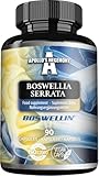 Boswellia Serrata 500 mg – 90 vegane Kapseln | 90-Tage-Vorrat – Unterstützung für Gelenke und Knochengesundheit – Apollo’s Hegemony