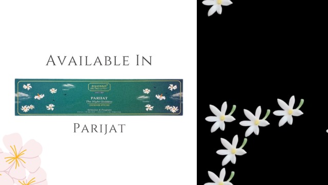 Nyassa Set of 5 Incense Stick Gift Set|Hand Dipped, Hand Rolled, Highly Scented|Indian Incense Sticks 25gmx5|Gift Set for All Occasions| Natural Ingredient|Ideal Gifting for All Occasion