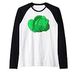 Weißkohl Kohl Weißkraut Kopfkohl Gemüse Vegetarisch Vegan Raglan