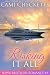 Risking it All (A Hawk Brothers Romance)
