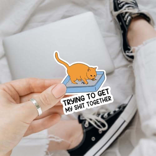 3 Pcs Trying to Get My Shit Together Sticker Funny Cat Stickers, Get My Shit Together Cat Litter Box Gift Stickers Laptop Water Bottle Phone Car Helmet Hard Hat Funny Gifts Sticker 3'x3' 2