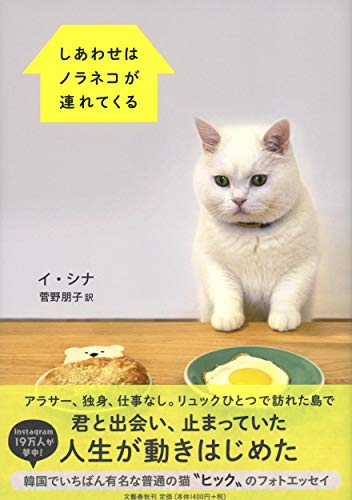 しあわせはノラネコが連れてくる