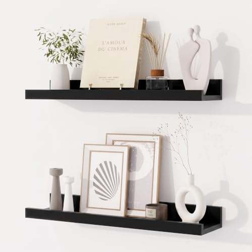 Dreamland Picture Ledge Shelf for Wall, Floating Shelves Set of 2,20 inch Long Floating Shelves with Lip for Living Room,Bedroom,Bathroom,Kitchen,Black