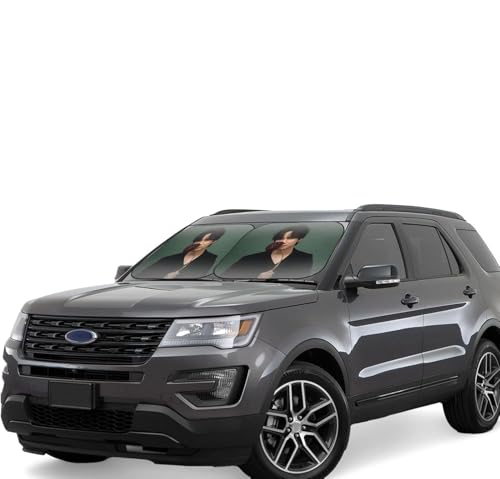 キム・ナムギル (5) 車用サンシェード サンバイザー 日よけ 紫外線対策 カーサンシェード 四季兼用 車用品 折畳み 便利 遮光 断熱 吸盤4個付