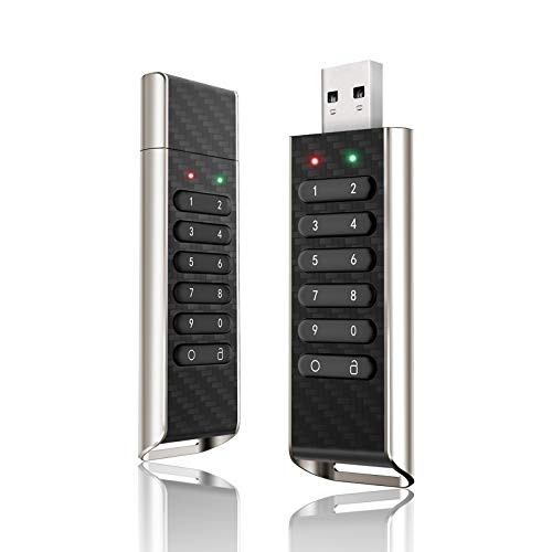 Shangya 64GB USB 2.0-Schlüssel-Knopf-Verschlüsselung USB-Sticks