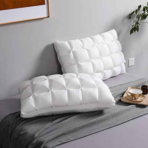 YOUR MOON Pillows Queen Size Set of 2 Soft Support Queen Pillows 2 Pack for Bed Fluffy Down Alternative Pillow Luxury Hotel Gel Pillow for Side Sleeping (White)