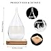 Large Storm Glass Weather Predictor - Weather Forecast - Weather Drop Barometer - Desk Decorations, Best Giving for Unique Christmas Gift