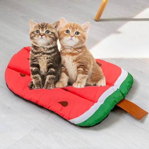 alfyng Almofada para cães de estimação, gato, cachorrinho, portátil, lavável, tapete com estampa de