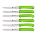 GRÄWE Couteau de table 6 pièces, set de couteaux à baguette pour couper, pack de 6 couteaux à petits pains, couteau de petit déjeuner à lame crantée d'un côté, couteau 21 cm - vert