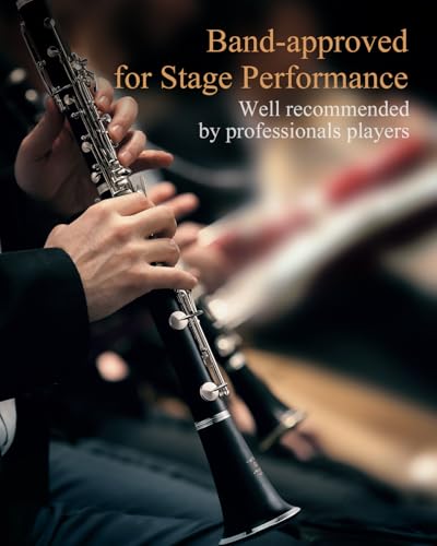 Image of Eastar Upgraded Bb Ebonite Clarinet Intermediate, Silver, Full Kit, ECL-400