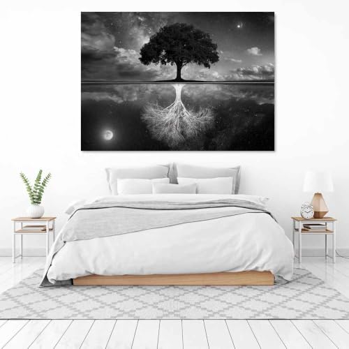 Affiche decoration réflexion de l'eau racines d'arbres pour votre bureau