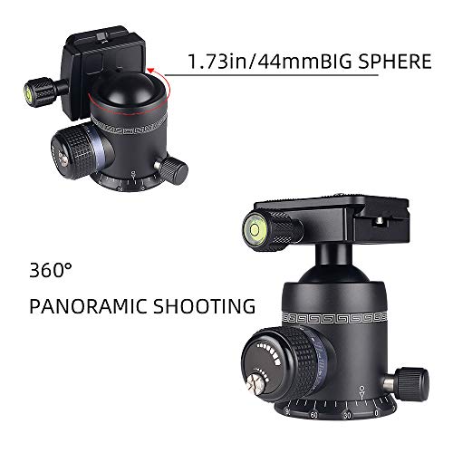 AOKA Professional 360-Degree Rotating Panoramic Ball Head with 1/4-inch Quick Release Plate, Self-Weight 1.08 lbs/0.49 kg, Maximum Load 66 lbs/30 kg, Suitable for Tripods, Monopod, SLR Cameras (KK44)