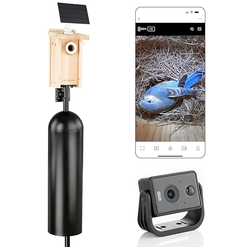 WHITEHORSE Bird House with Camera, Mounting Pole and 8" Baffle