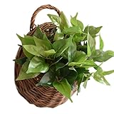 Wanddeko aus Korbwaren | handgefertigter Behälter zum Aufhängen aus natürlichem Rattan – Wandkörbe aus Korbwaren – für Wohnzimmer, Schlafzimmer, Küche, Garten, Haus, rustikales Interieur