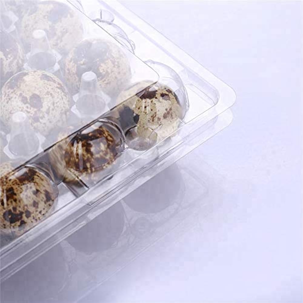 150 Pack 12 Grids Clear Quail Egg Carton Bulk, Small Plastic Quail Egg Storage 150 Pack 12 Grids Clear Quail Egg Carton Bulk, Small Plastic Quail Egg Storage