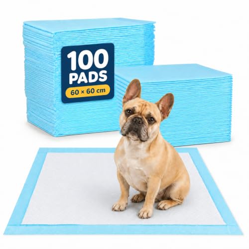 KORVORIA Empapadores Perros 60 x 60 cm, 100 Unidades, Desechables
