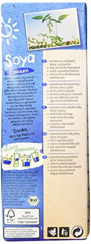 Bio Sojadrink Natumi Soya Drink mit Calcium, 12er Pack (12 x 1,049 l)