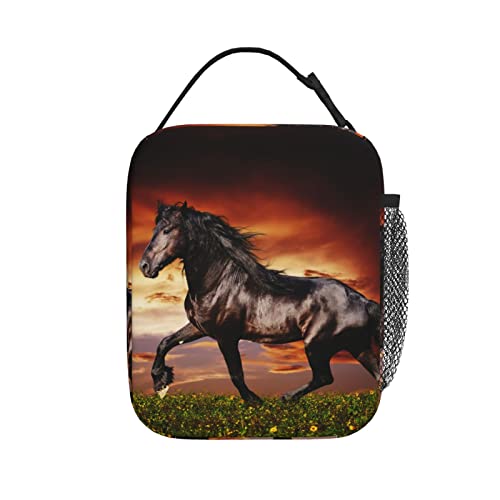 Lunch Box Reusable Insulation Lunch Bag Horse Trot Black Friesian Ice Packs Containers Tote Handbag For Women Men Teens Girls #TOP12