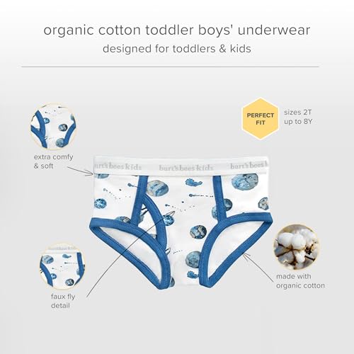 image for Burt's Bees Baby Burt's Bees Baby Boys' Underwear Set - Breathabl