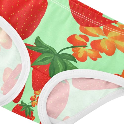 Strawberry Toddler Girls's Underwear 2T 202c13234