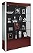 Waddell Contempo Series Lighted Floor Display Case Base Color: Cherry, Case Backing: Black, Frame Color: Satin
