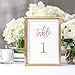 Tumbalina Rose Gold Wedding Table Numbers (Color Options Available), 4x6 Modern Calligraphy Foil Design, Double Sided, Numbers 1-25 (Rose Gold Foil)