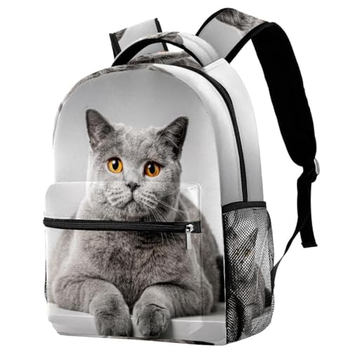 Sac à dos fille et garçon imprimé chat pour le collège et les loisirs créatifs