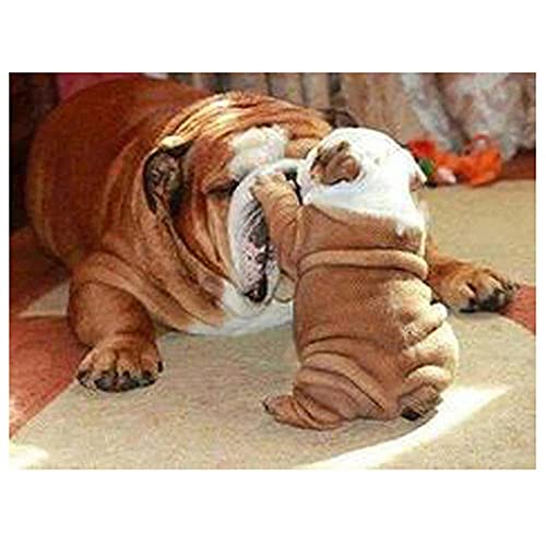 Quuzee per Bambini Pittura Diamante 5d Fai da Te Trapano Pieno Bulldog Francese DIY 5D Diamond Painting Kit Completo Strass Ricamo a Punto Croce Craft Arts la Decorazione della Parete di casa 25x35cm
