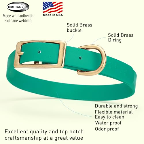 Image of Viper Biothane Heavy Duty Waterproof Dog Collar Strong Coated Nylon Webbing w /Solid Brass Hardware Odor-Proof Easy to Clean High Performance Fits Small Medium or Large Dogs, Teal