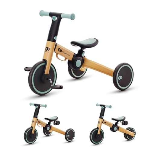 Minibicicleta de 3 ruedas adaptable de 12 meses a 25 kg
