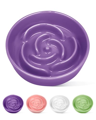 TRUVIC セラミック製スローフィーダー犬用ボウル（小型犬用）、0.6カップ スローフィーダー猫用ボウル（早食い用）、セラミック製犬用フード皿（あごが黒くならない）、小型犬と猫用パズルボウル（紫）