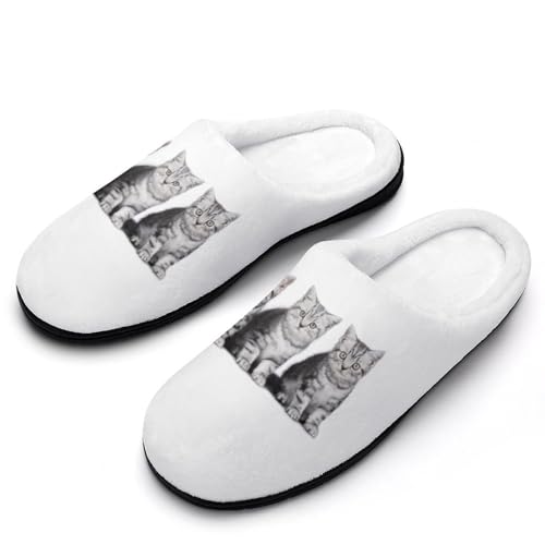 [NBKING] Xbp AJV[gwA 킢 lR L [V[Y  qp h g ~  jp ItBX gC Jbv y p E I[V[Yp 9-10i40-41j