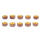 Fishawk Decoración de la casa del pájaro, decoración de paisajismo de decoración de originalidad de 10 Piezas para Plantas suculentas