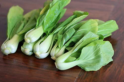 KIRA SEEDS - Chinese Cabbage Bok Choy - Heirloom Vegetable - GMO Free