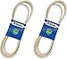 2 Pack Stens 265-600 OEM Replacement Belt Fits Scag 483001