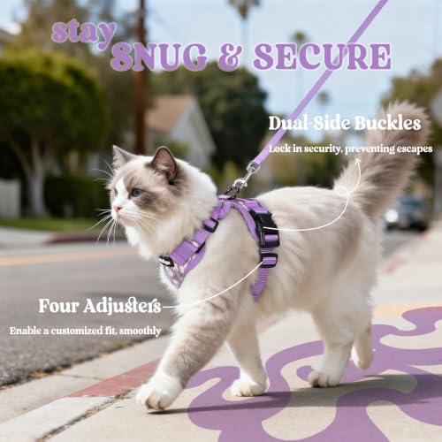 Image of rabbitgoo Cat Harness and Leash Set, Escape Proof Vest, Purr-ple Daisy | Soft Breathable Mesh, Easy Adjustable Fit, Snap Buckles, Sturdy Clip, Reflective Strips, for Medium to Large Cats Walks, M