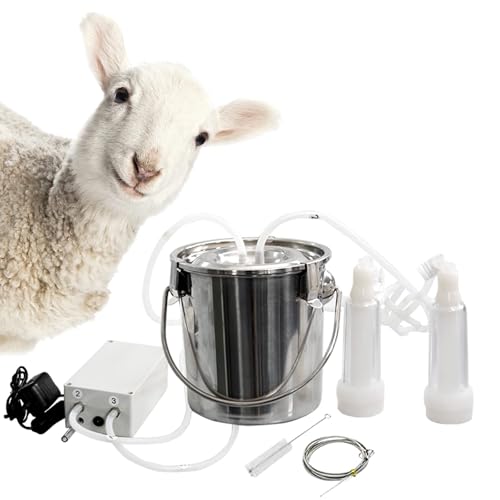 Vexorium rpd@ z^ vO | XeXoPctM | _p~LOLbg,5L