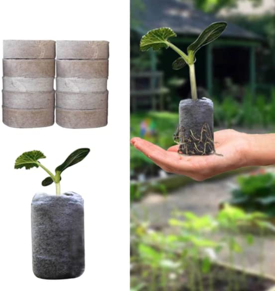 Coco disc, 4x4x1 cm, Germination kit 42 mm Diameter 100 Qty, Natural Brown (B0BC6DLVT3) Amazon Price History, Amazon Price Tracker