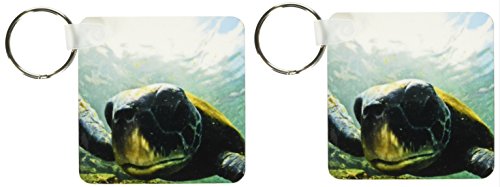 Porte-clés tortue de mer 3drose Pacifique pour ne plus jamais perdre vos clés